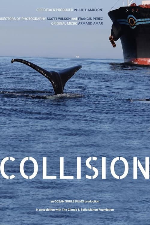 Постер: Collision