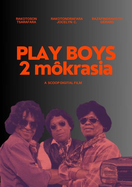 Постер: Play Boys 2môkrasia