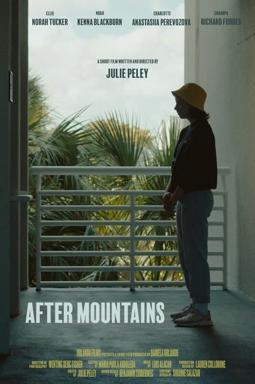 Постер: After Mountains