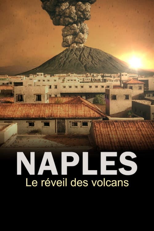 Постер: The Next Pompeii?