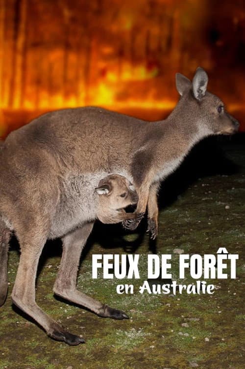 Постер: Bushfire Animal Rescue