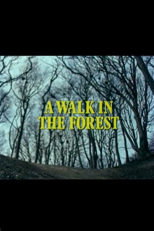 Постер: A Walk in the Forest