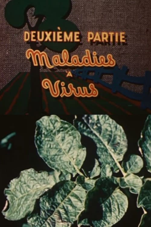 Постер: Les ennemis de la pomme de terre: Maladies à virus