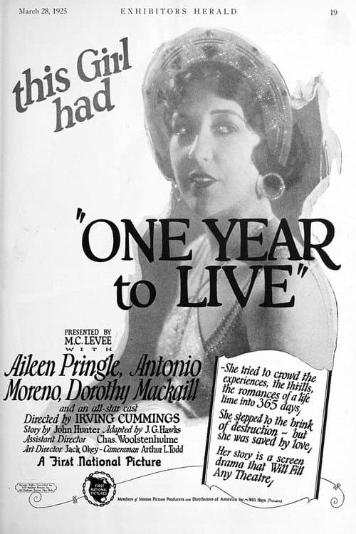 Постер: One Year to Live