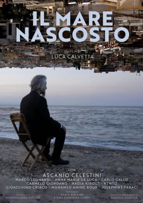 Постер: Il mare nascosto