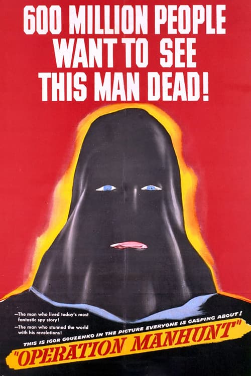 Постер: Operation Manhunt