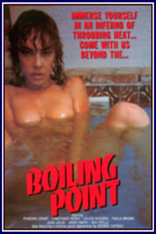 Постер: Boiling Point