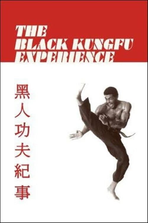Постер: The Black Kung Fu Experience