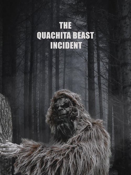 Постер: The Quachita Beast Incident