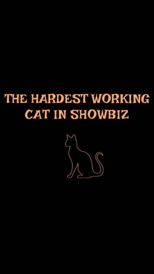 Постер: The Hardest Working Cat in Showbiz
