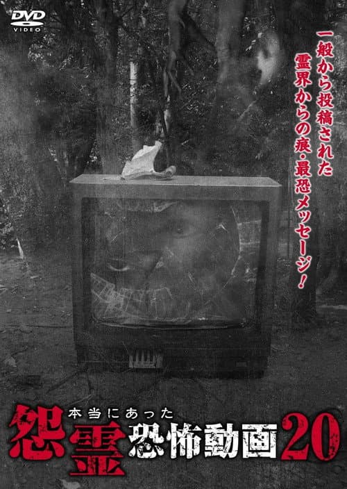 Постер: 本当にあった怨霊恐怖動画20