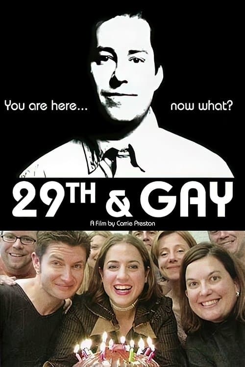 Постер: 29th and Gay