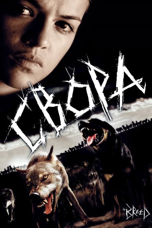 Кадр 2
