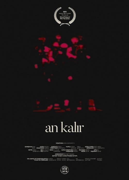 Постер: An Kalır