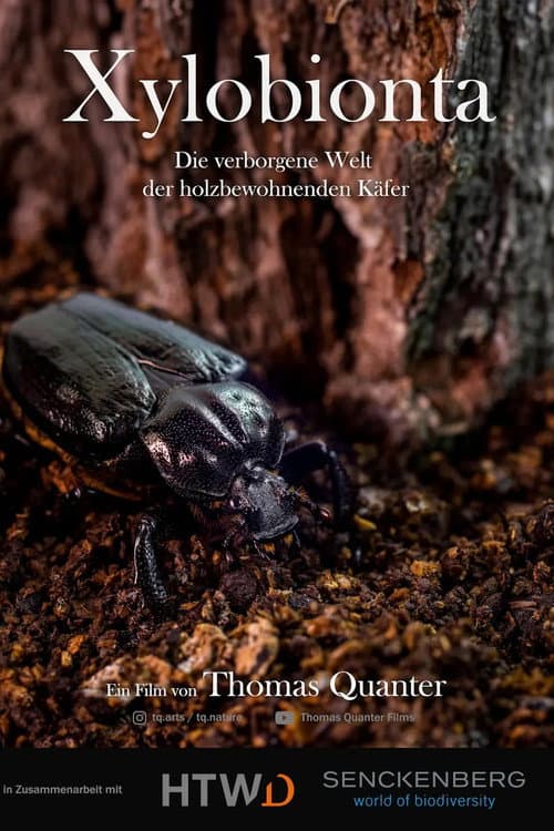 Постер: Xylobionta - die verborgene Welt der holzbewohnenden Käfer