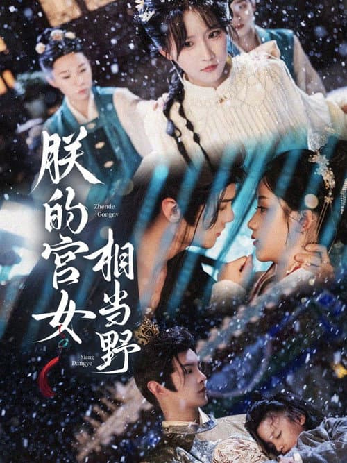Постер: 朕的宫女相当野