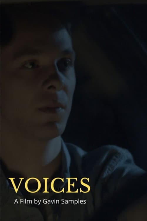 Постер: Voices