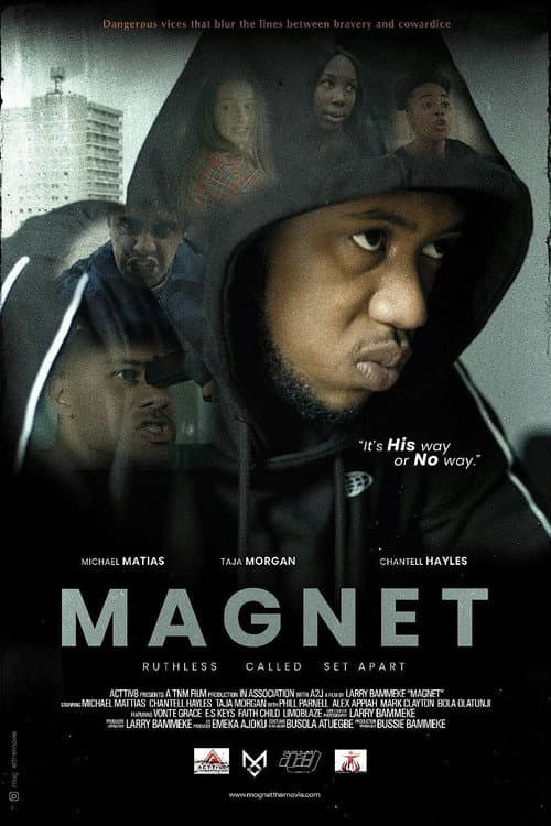 Постер: Magnet