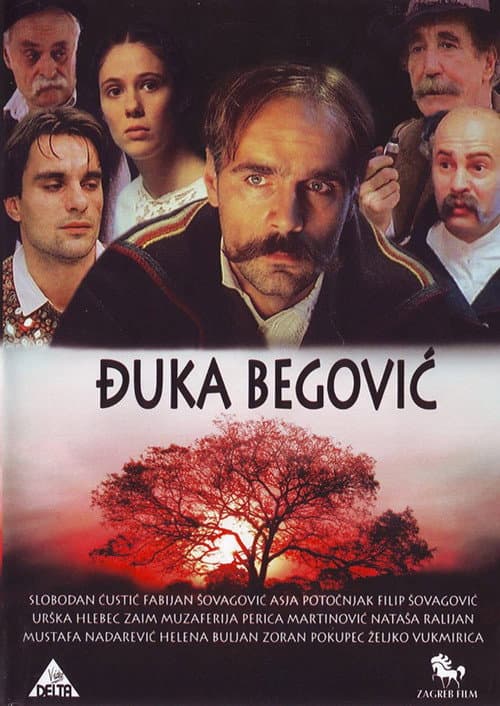 Постер: Đuka Begović
