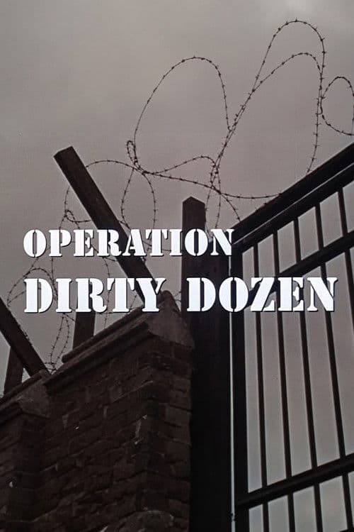 Постер: Operation Dirty Dozen