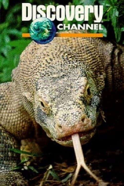 Постер: Dragons of Komodo