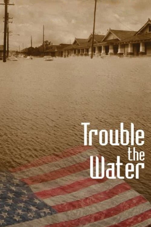 Постер: Trouble the Water