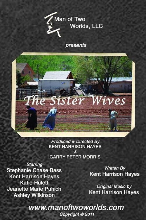 Постер: The Sister Wives