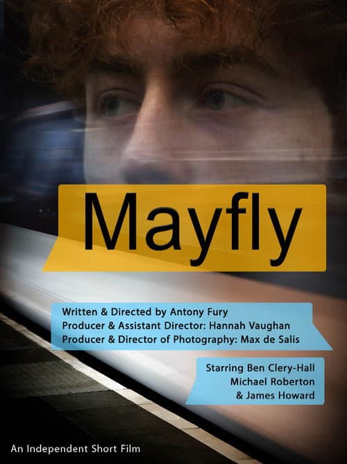 Постер: Mayfly