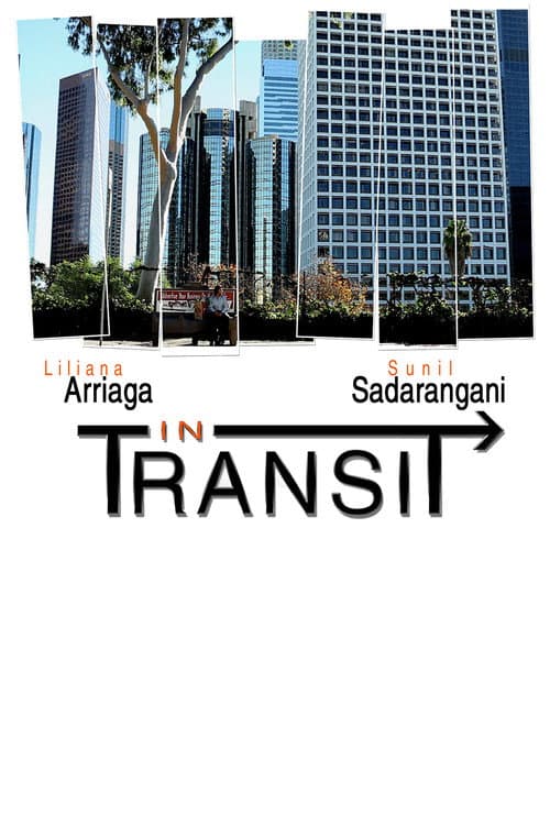 Постер: In Transit