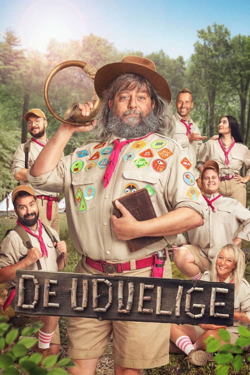 Постер: De Uduelige