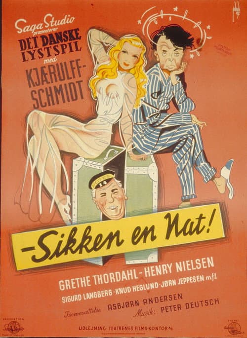 Постер: Sikken en nat