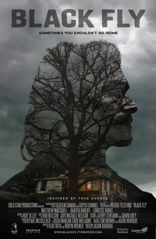 Постер: Черные птицы