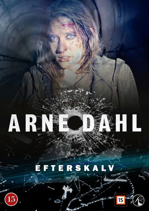 Постер: Arne Dahl: Efterskalv