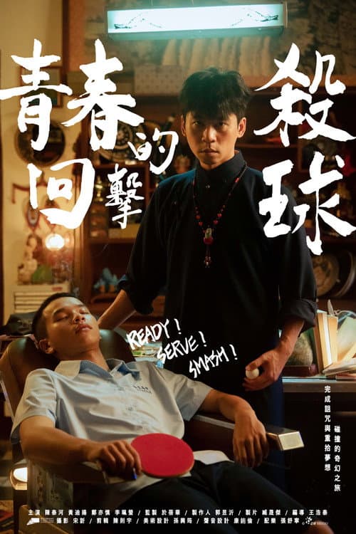 Постер: 青春的回擊殺球
