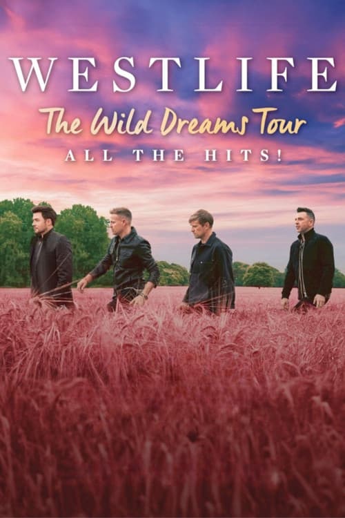 Постер: Westlife: The Wild Dreams Tour (Live at Wembley Stadium)