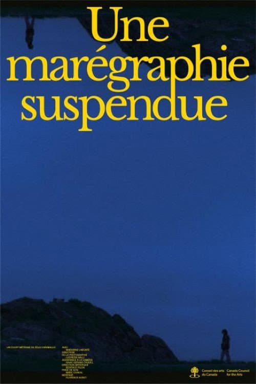 Постер: Une marégraphie suspendue