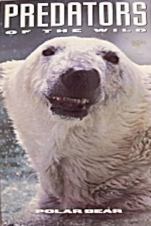 Постер: Predators of the Wild: Polar Bear