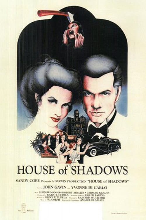 Постер: La casa de las sombras