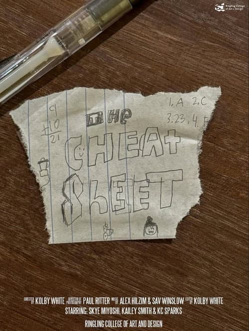 Постер: The Cheat-Sheet