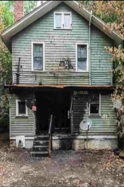Постер: A Domestic Incident in Boylan Heights
