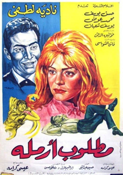 Постер: مطلوب أرملة