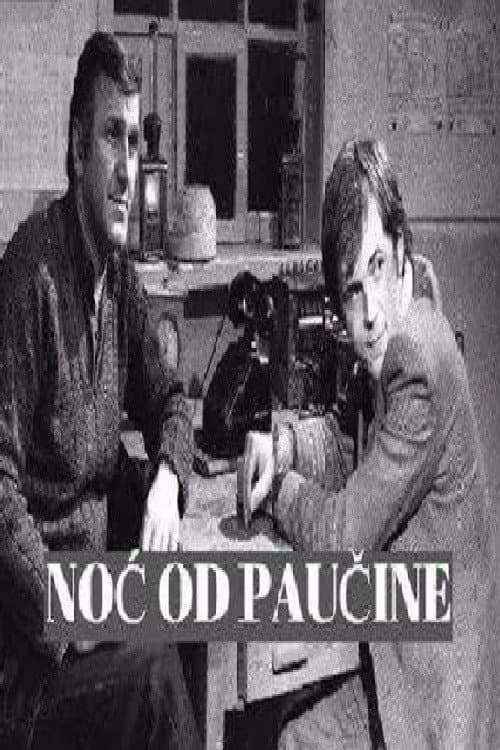 Постер: Noć od paučine