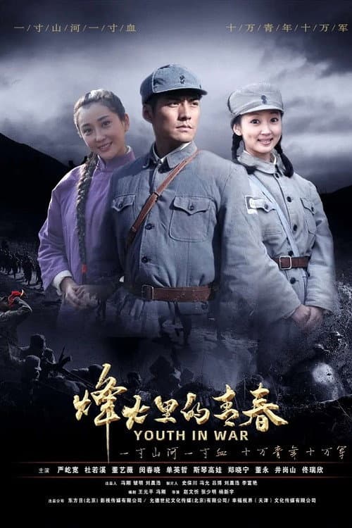 Постер: 烽火硝烟里的青春