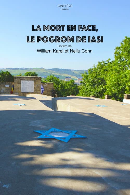 Постер: La Mort en face, le pogrom de Iași