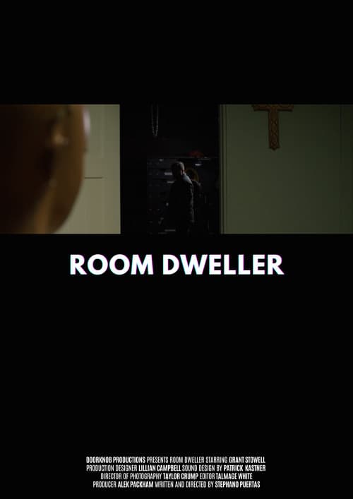 Постер: ROOM DWELLER