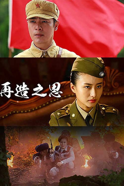 Постер: 再造之恩