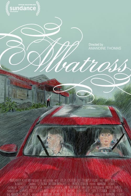 Постер: Albatross