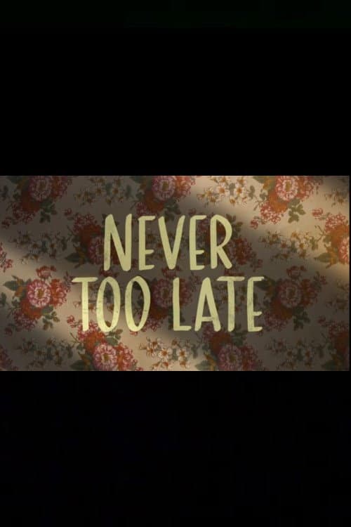 Постер: Never Too Late