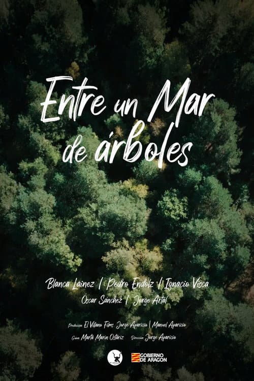 Постер: Entre un mar de árboles