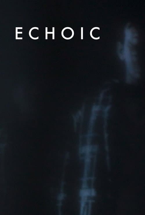 Постер: Echoic
